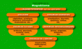 /album/le-magnetisme/indications-magnetisme-gif1/